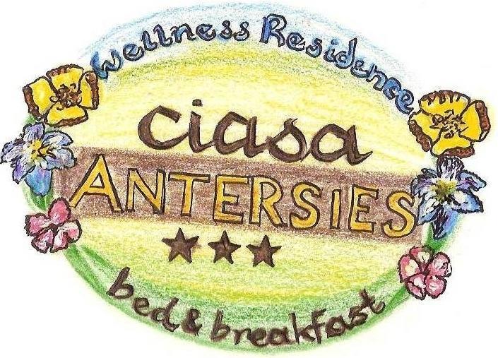 סאן קאסיאנו Family And Wellness Residence Ciasa Antersies מראה חיצוני תמונה